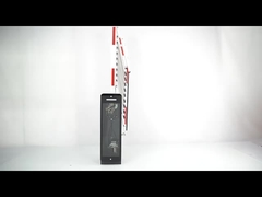 Sistema di gestione del parcheggio commerciale Recinzione dei veicoli Pubblicità Cancellamento del traffico